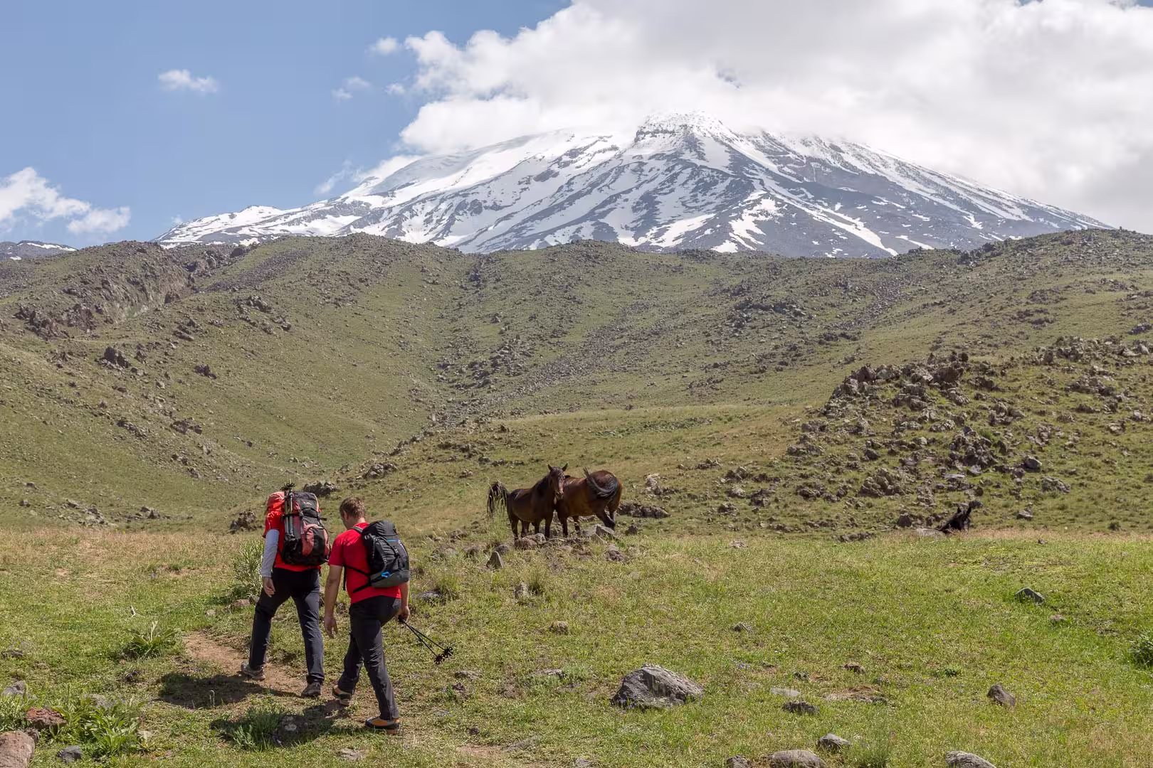Trekking Ararat