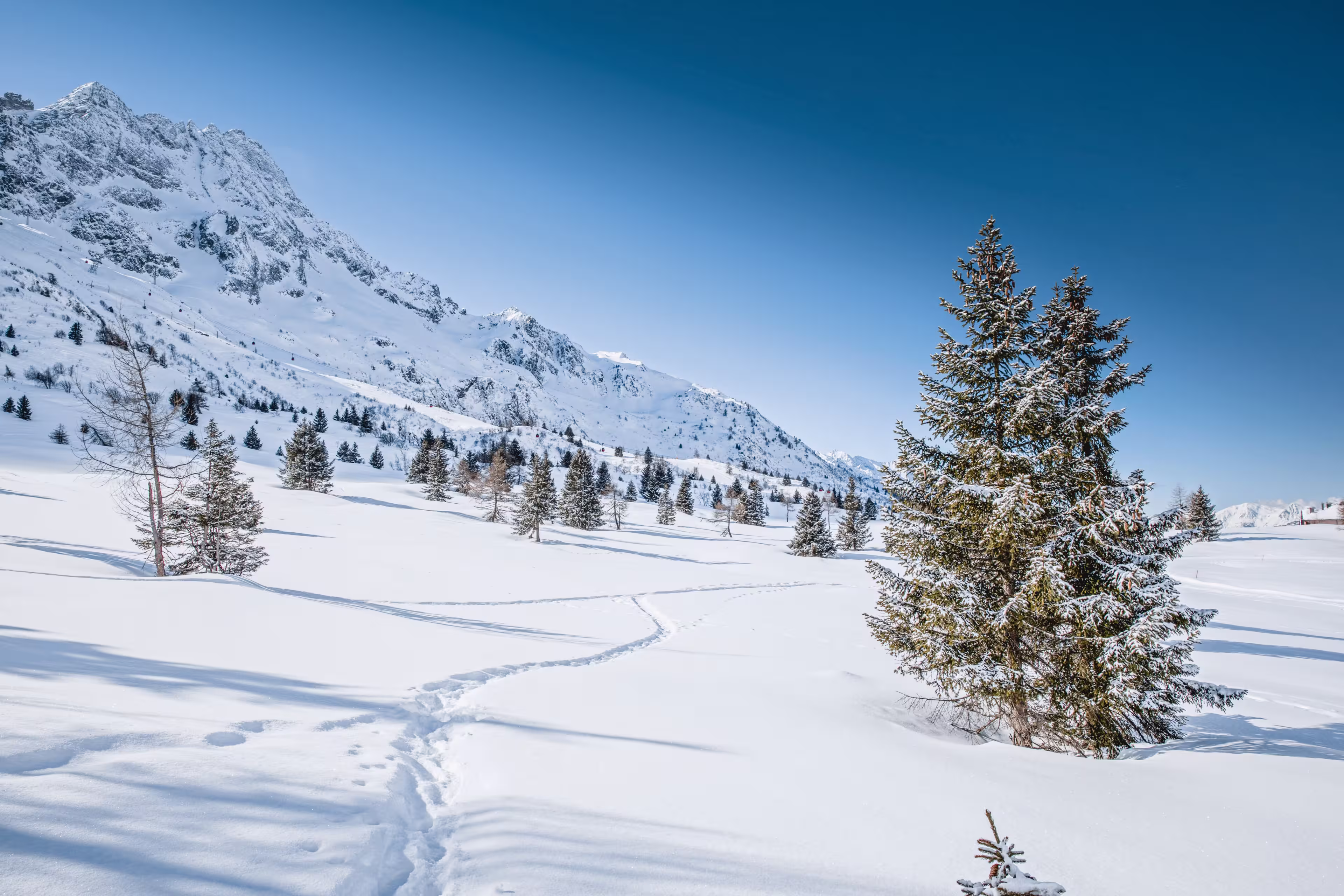 Berge, Sonne & Genuss: Schneeschuhwandern im Nationalpark Stilfserjoch