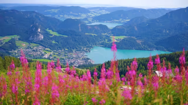 Seeblick Zwoelferhorn
