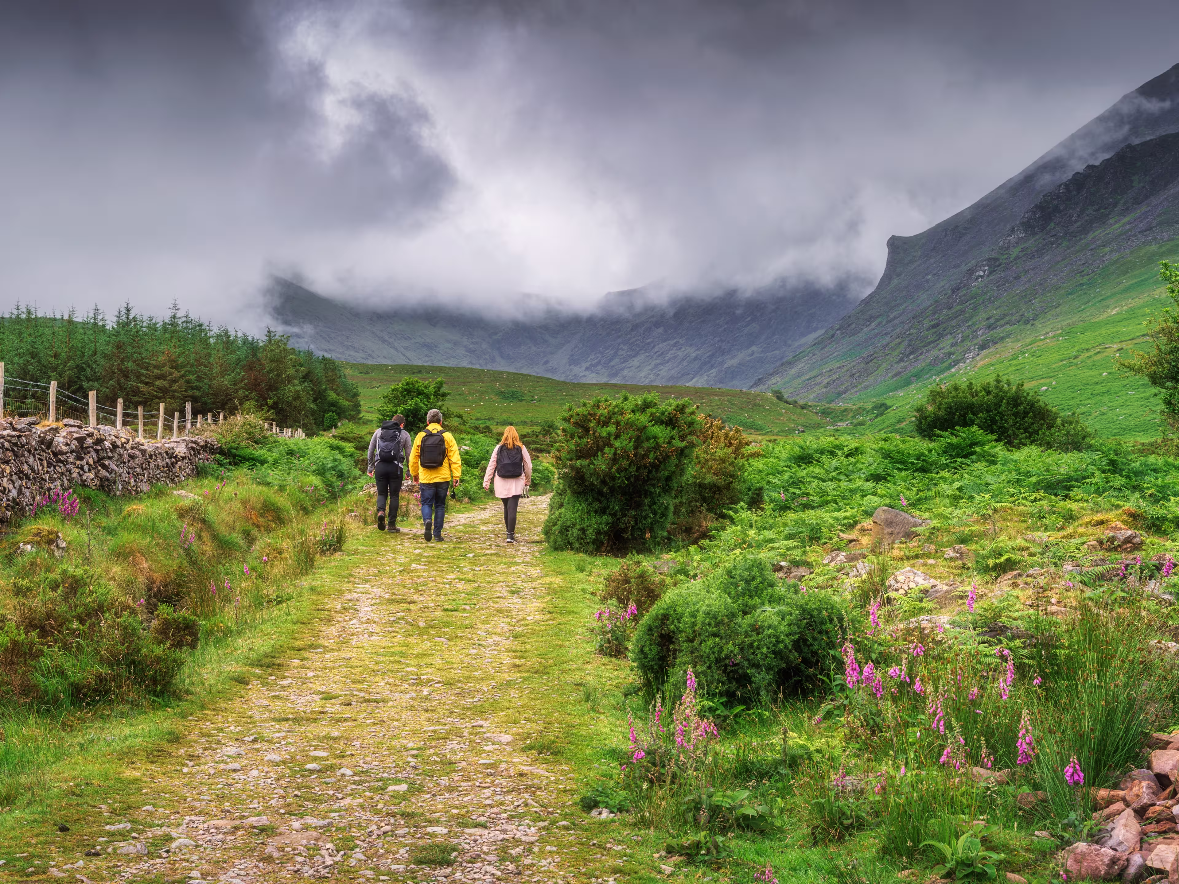 Gemütlich wandern am Kerry Way - 15 Tage