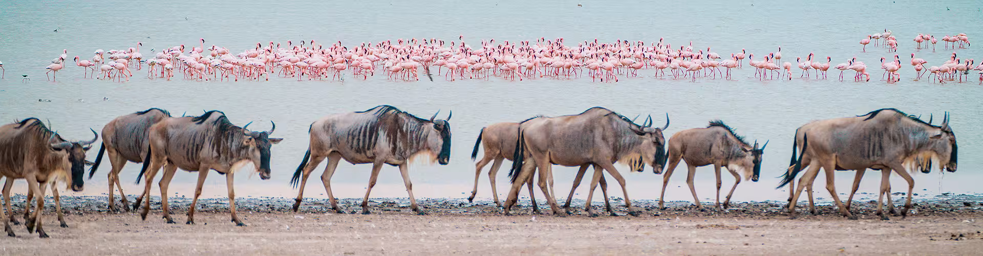 Best of East Africa - 1
