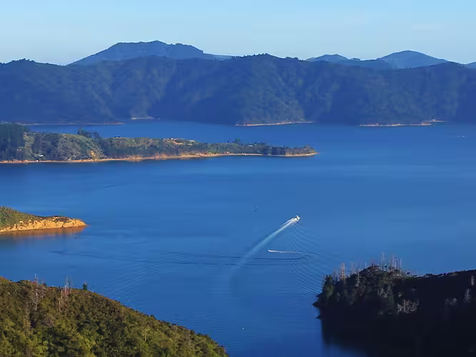 Aerial view Marlborough Sounds, South Island, NZ
