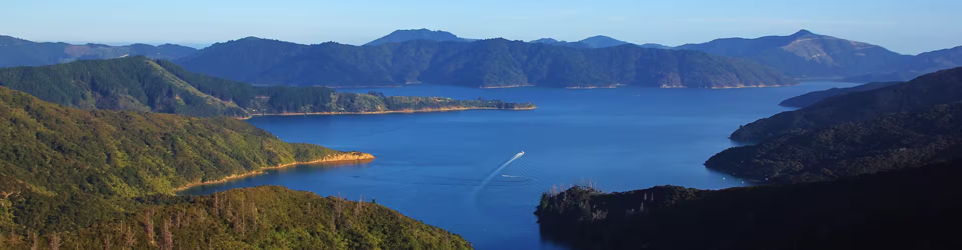 Aerial view Marlborough Sounds, South Island, NZ