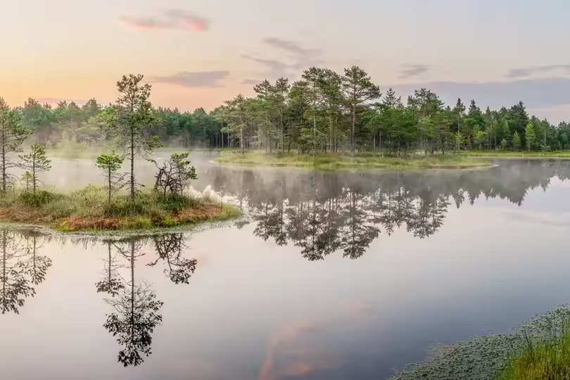 Baltikum – Naturlandschaften & Hauptstädte