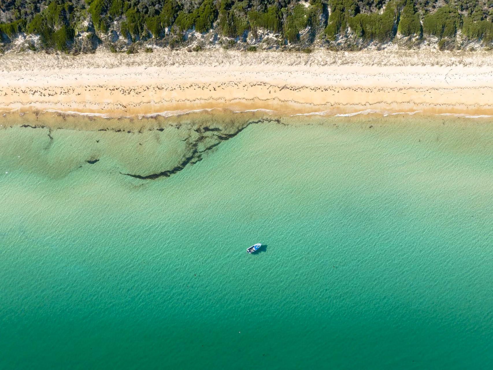 Take the boat right onto the sands of Freycinet