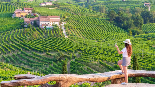 Weinberg Prosecco Valdobbiadene