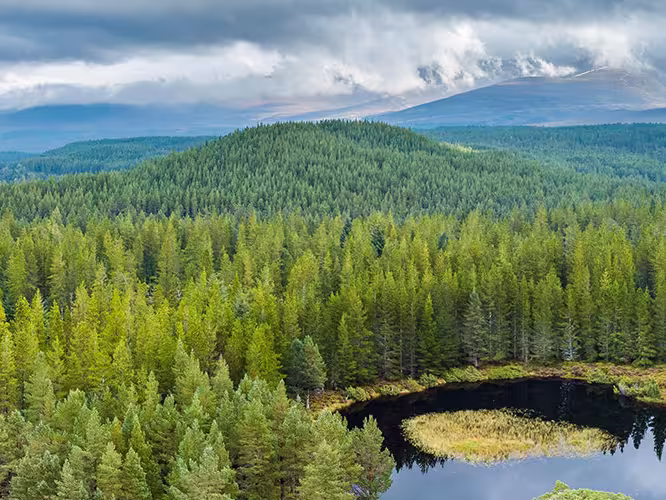 Aerial view of Cairngorms NP, Scotland