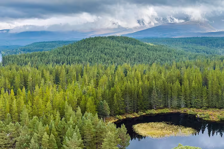 Aerial view of Cairngorms NP, Scotland