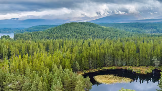 Aerial view of Cairngorms NP, Scotland