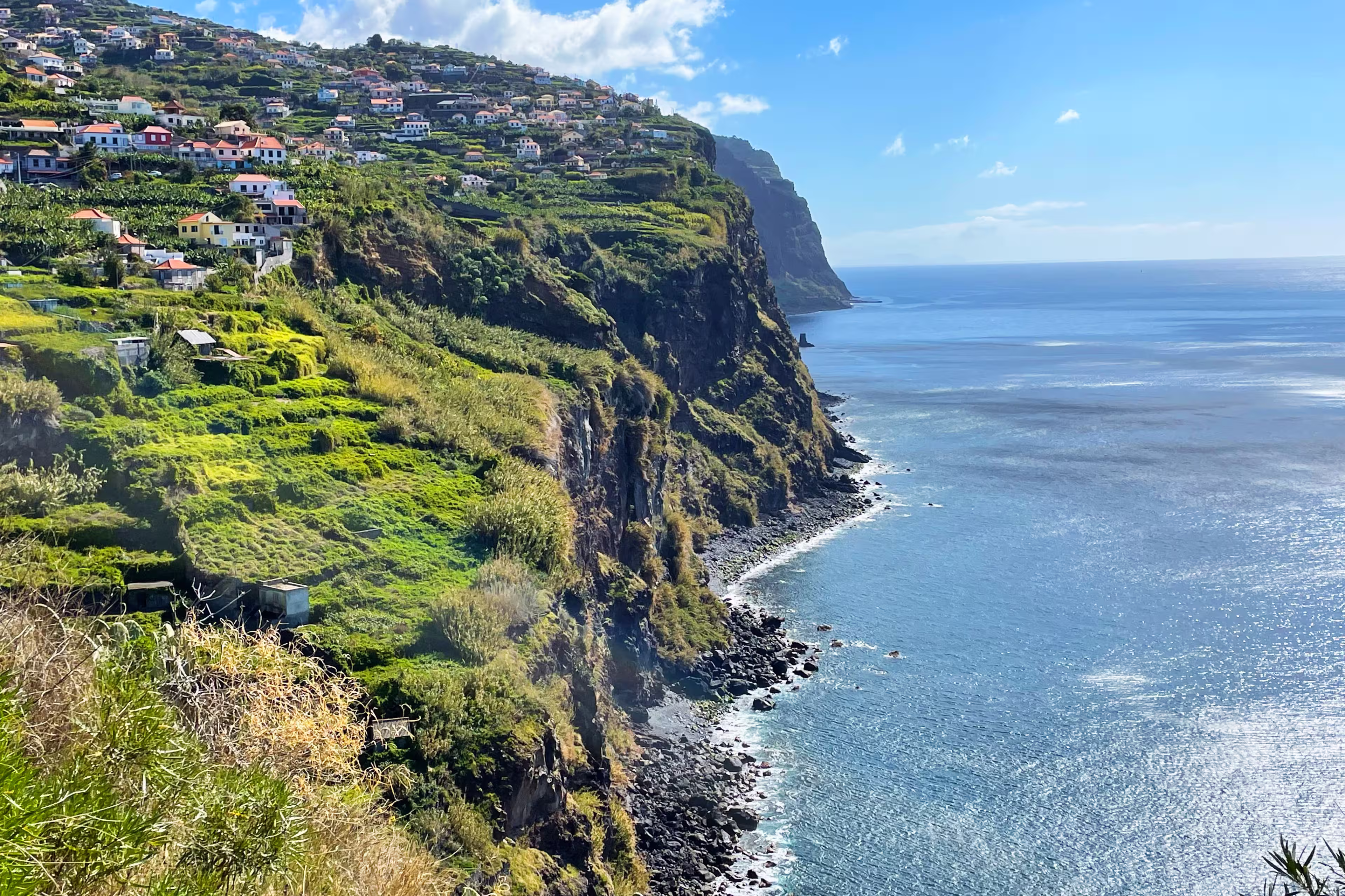Madeira Rundfahrt - Blumenwelt und Küstenland