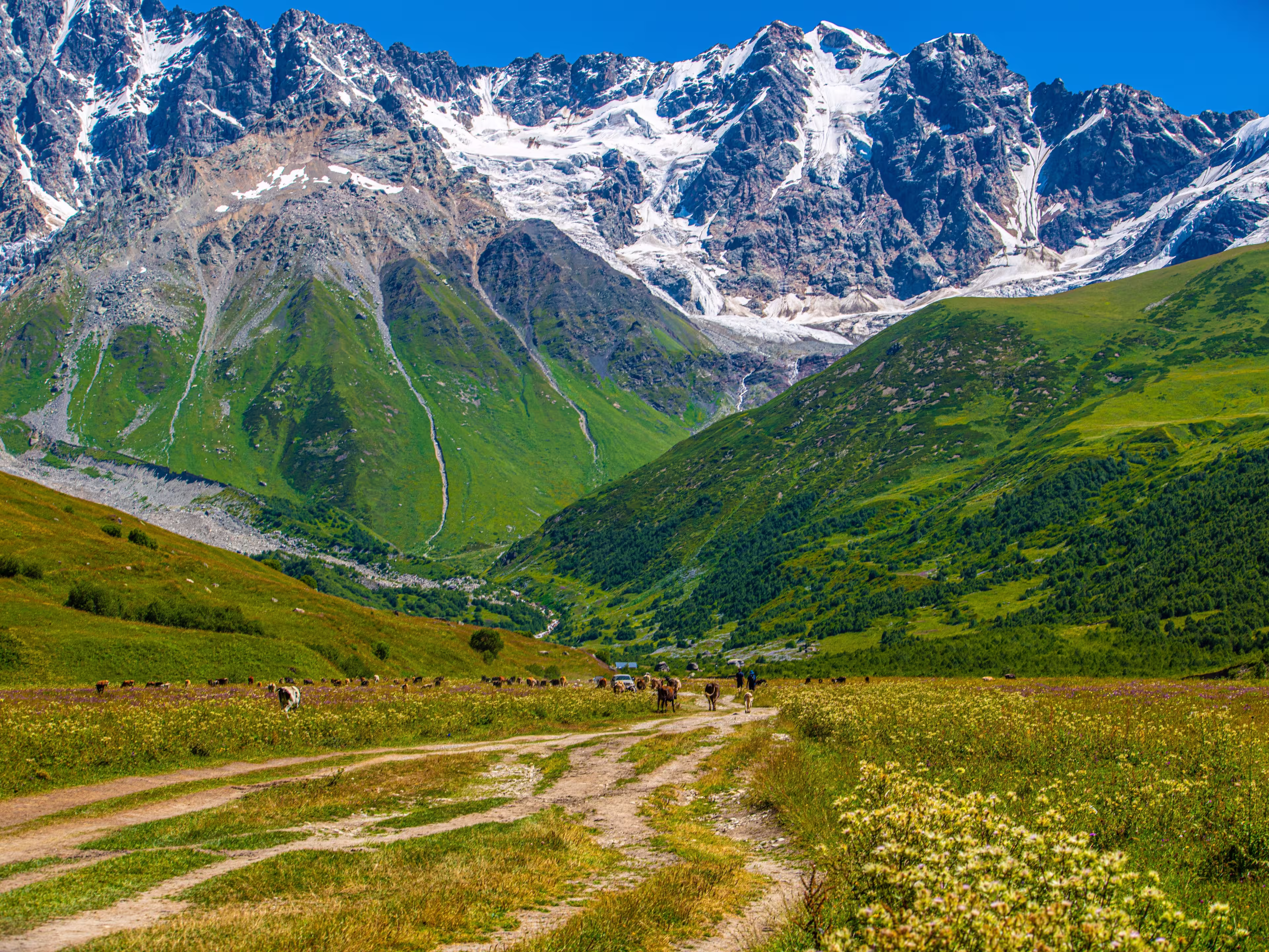 Georgien - Wilde Natur trifft legendäre Gastfreundschaft