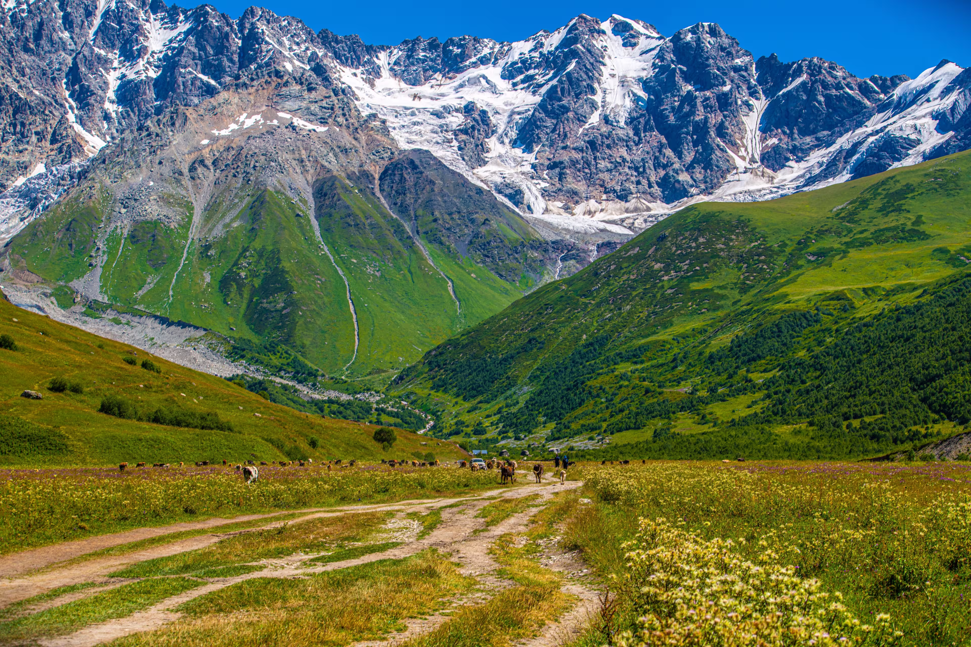 Georgien - Wilde Natur trifft legendäre Gastfreundschaft