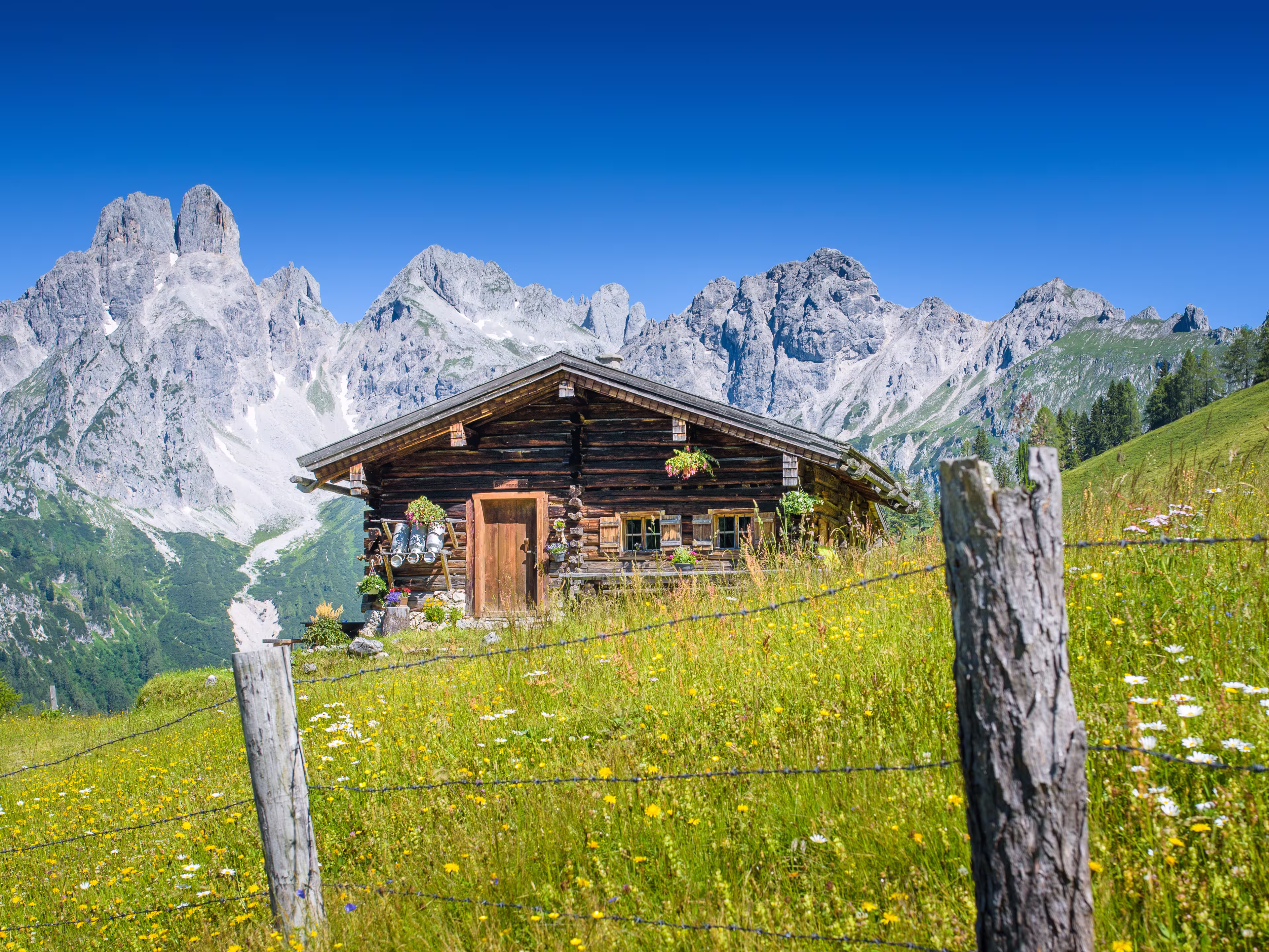 Idyllisches Chalet bei Filzmoos, Österreich