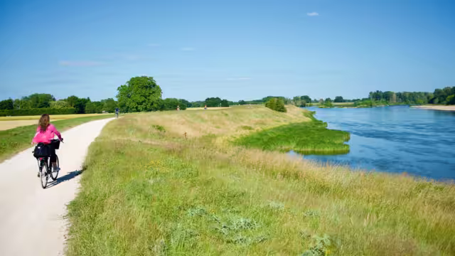 View on a path following the river Loire with cyclists in summer