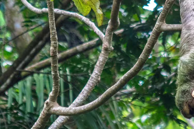 Costa Rica Experience - 1