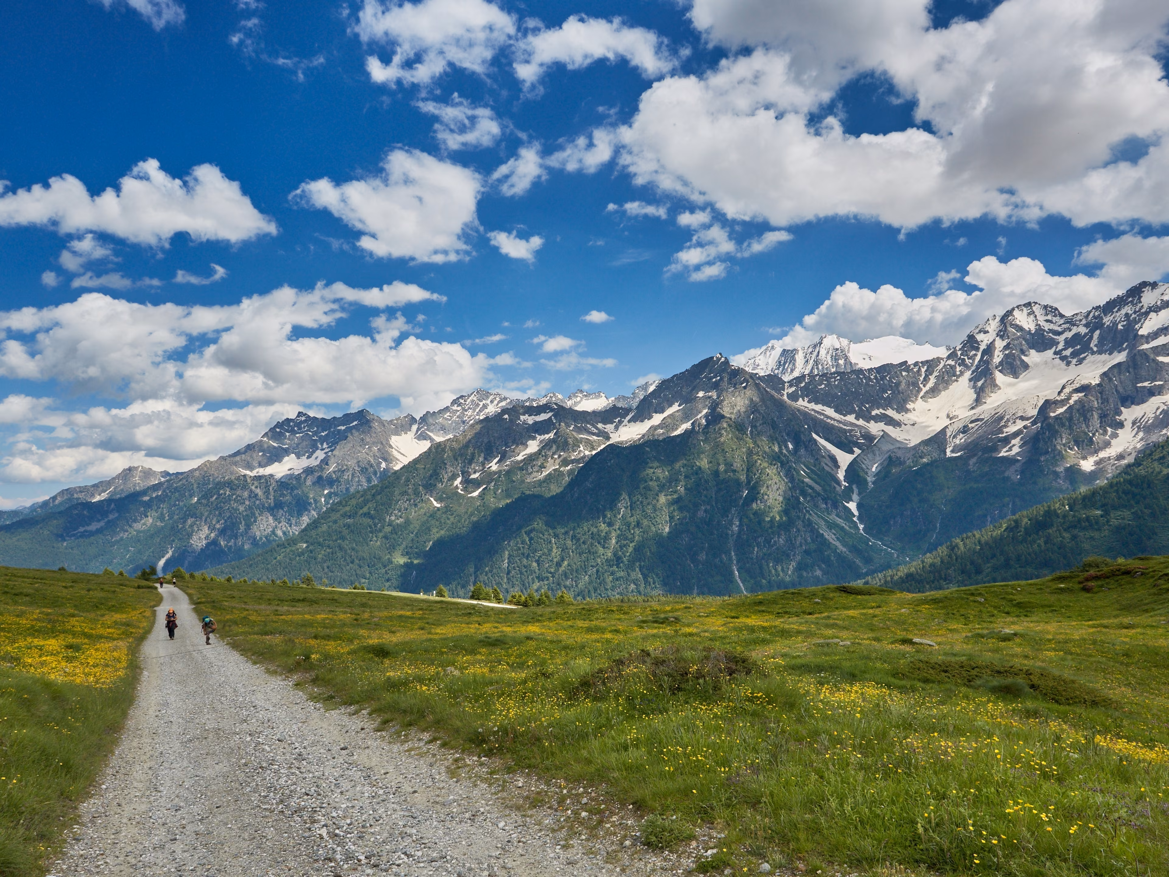 View and panorama of the mountains of Val Di Sole, with snow-capped mountain peaks in summer