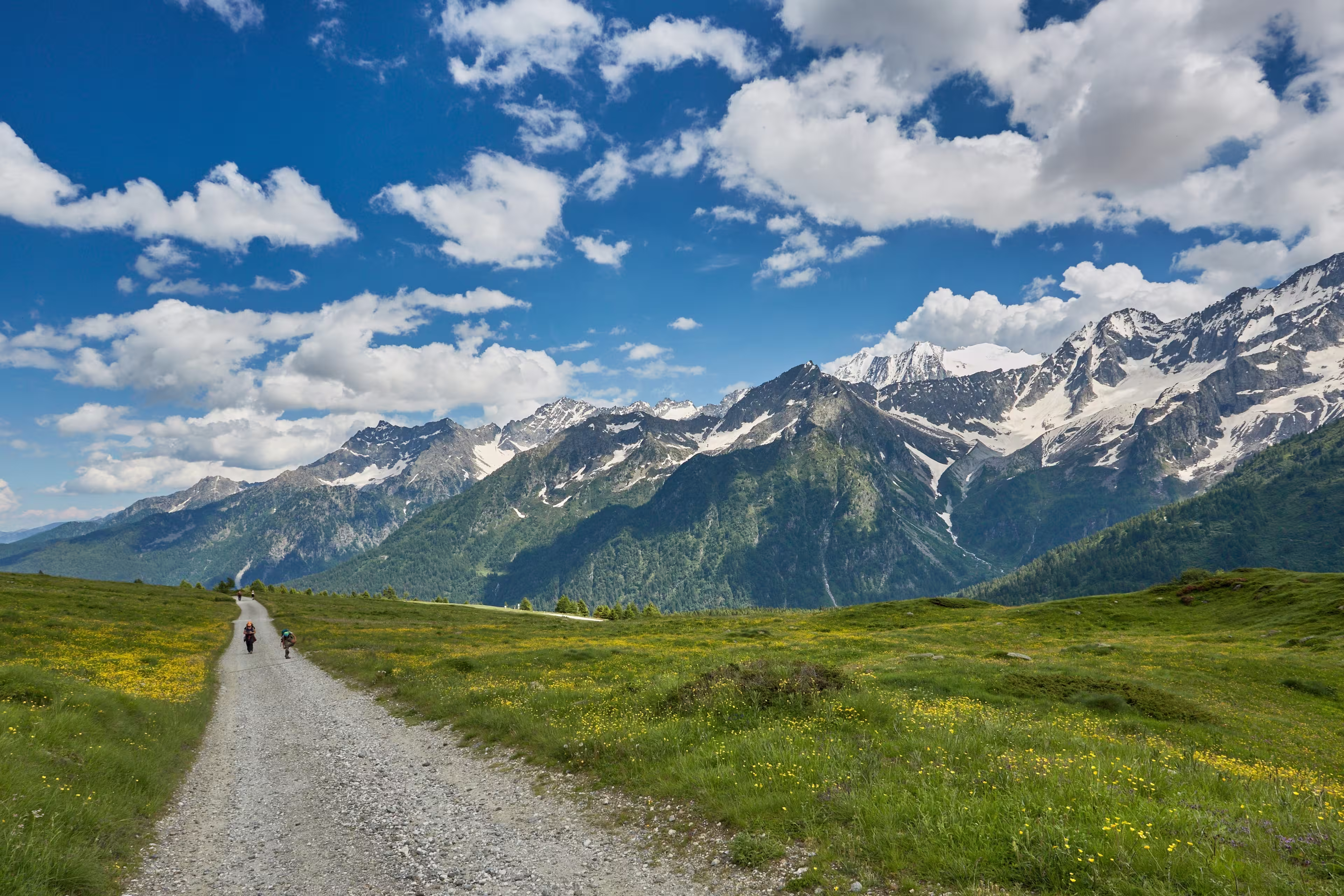 View and panorama of the mountains of Val Di Sole, with snow-capped mountain peaks in summer