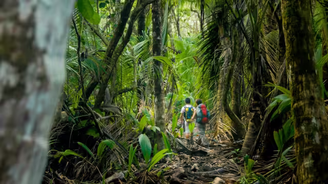 Two hikers make their way through the thick jungle of Corcovado National Park, Costa Rica
