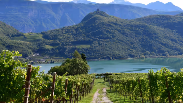 Kalterer See Südtirol