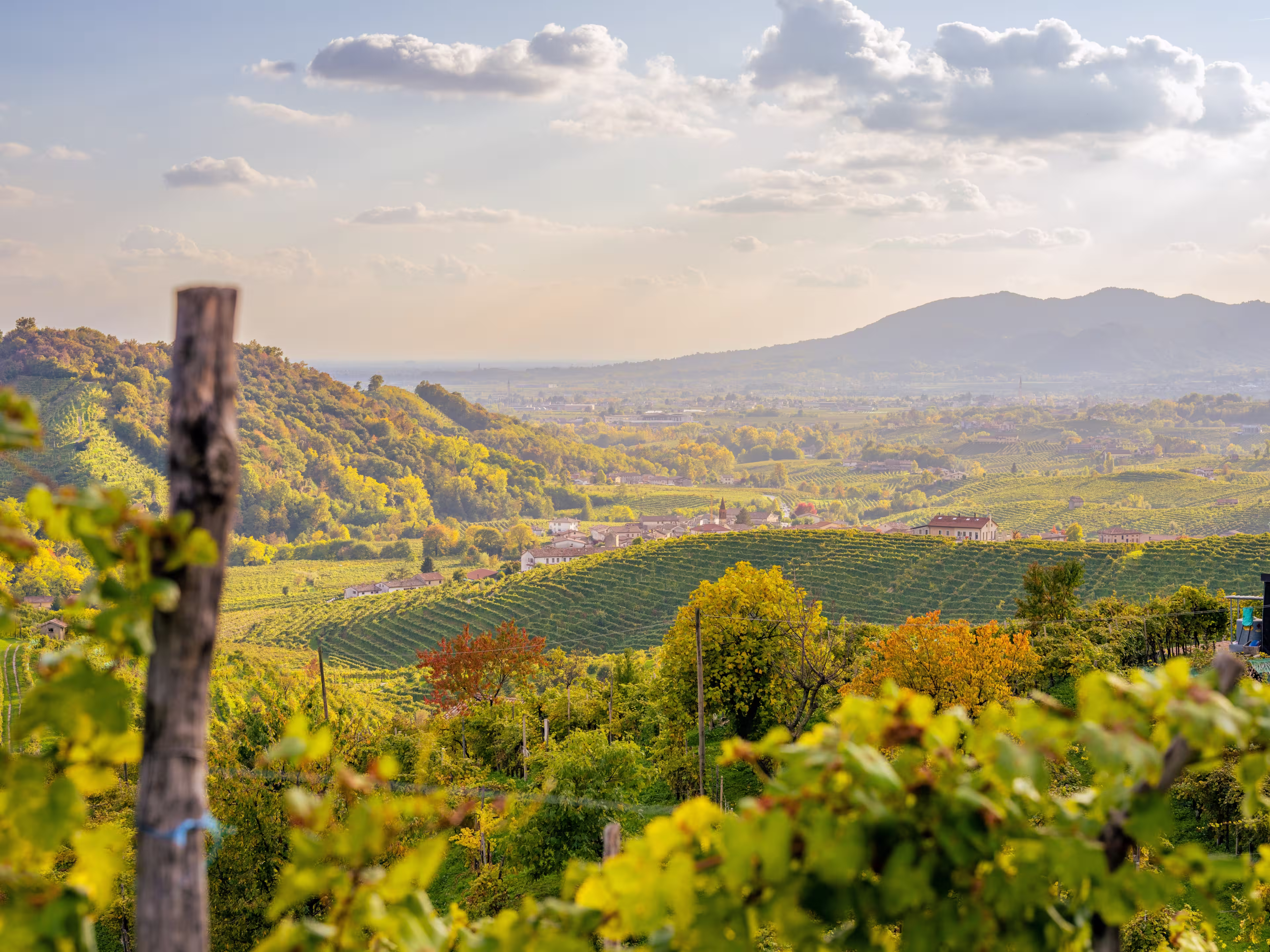 View of the Conegliano Valdobbiadene hills in autumn. Italy