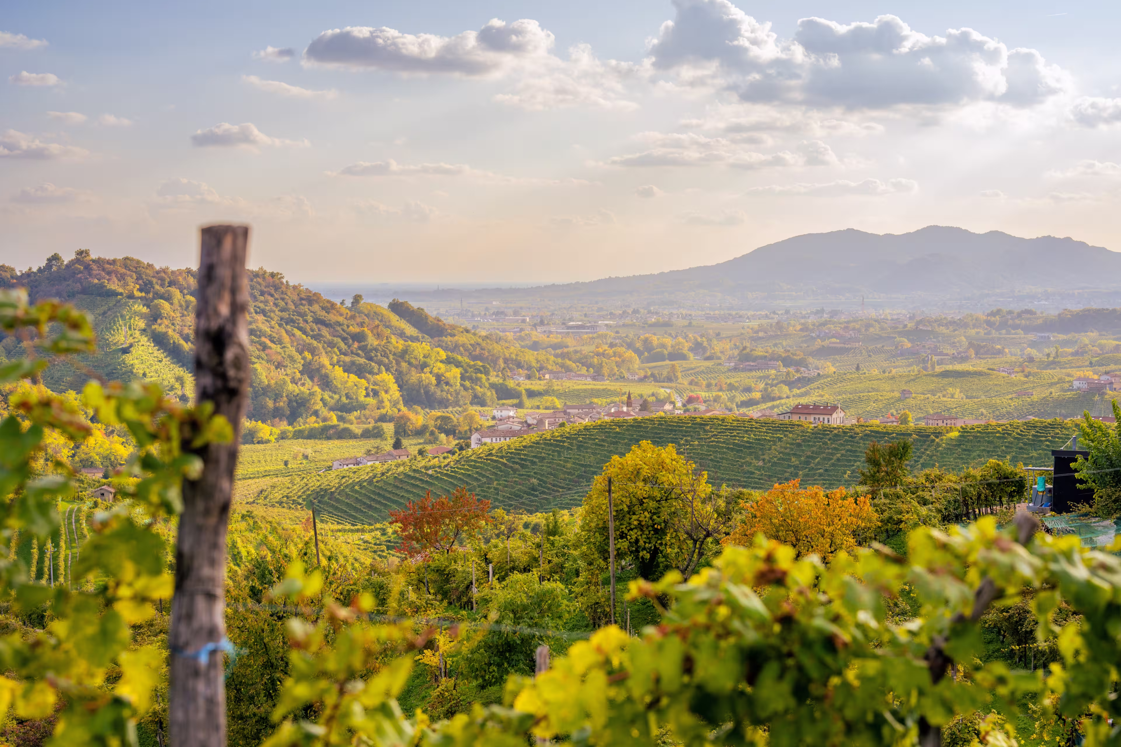 View of the Conegliano Valdobbiadene hills in autumn. Italy