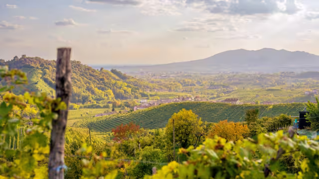 View of the Conegliano Valdobbiadene hills in autumn. Italy