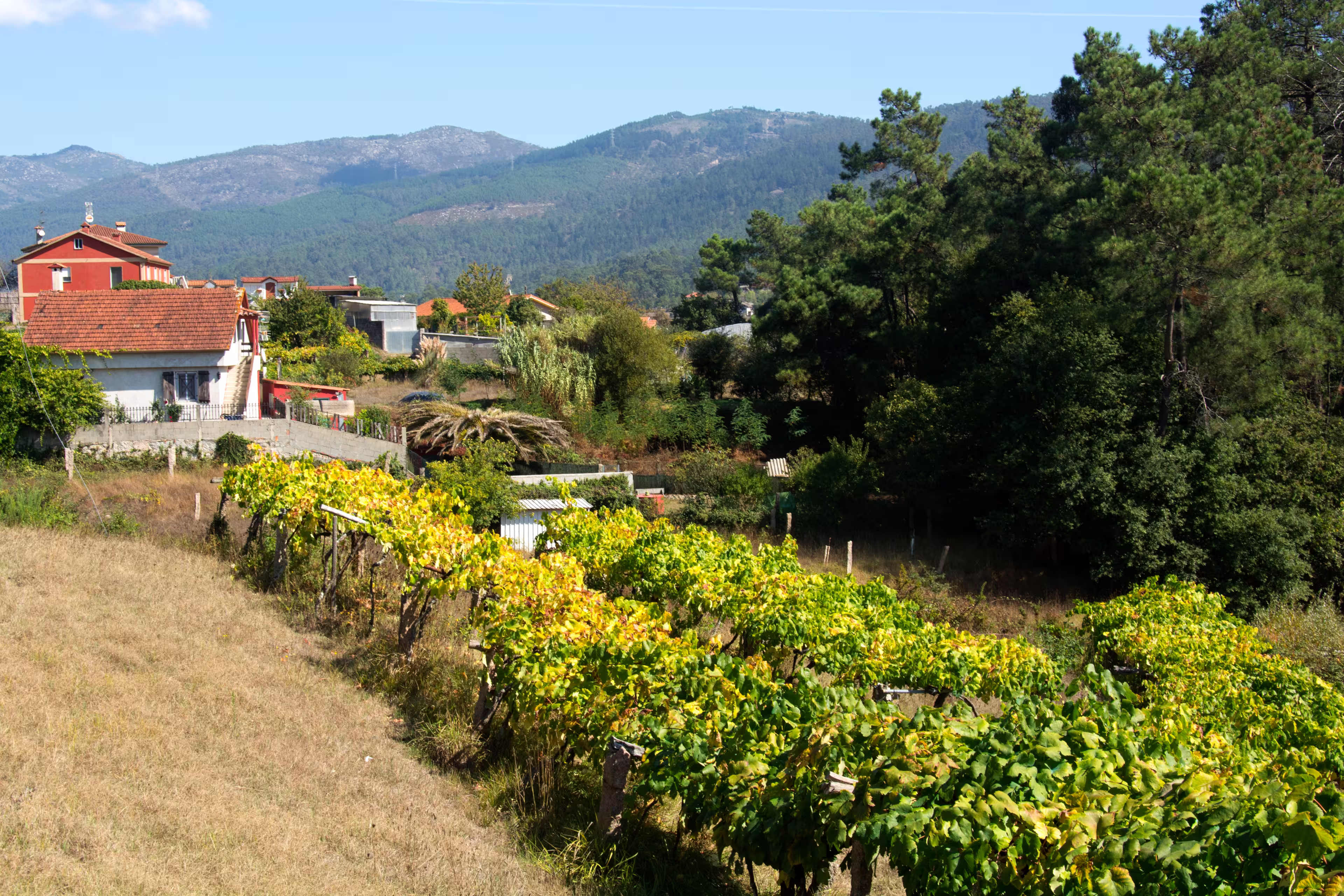 Pilgrim trail between Tui and O Porrino on the Camino de Santiago trail, Spain