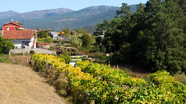 Pilgrim trail between Tui and O Porrino on the Camino de Santiago trail, Spain
