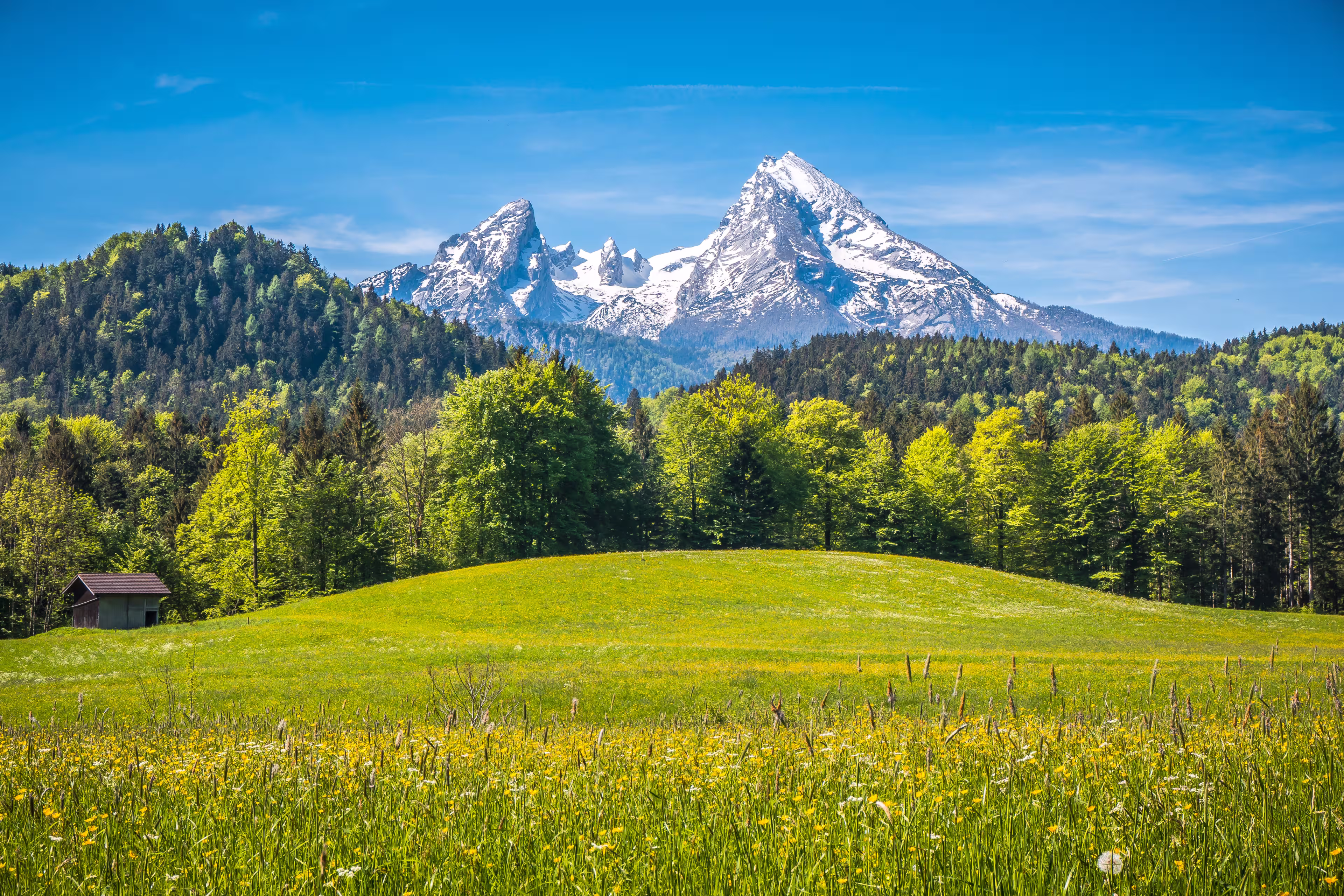 Bayerns Alpen & Seen 8 Tage