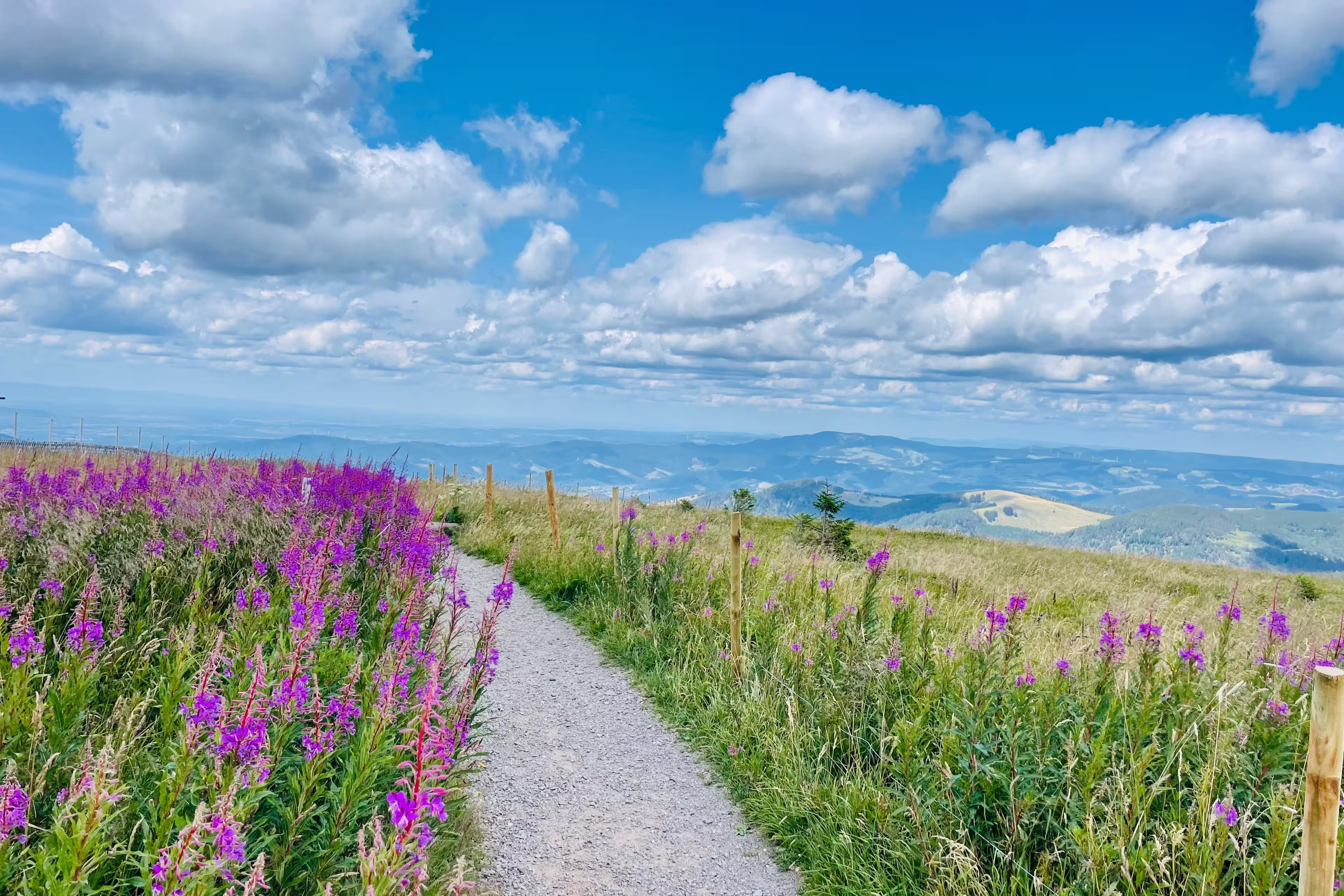 Hiking in Feldberg and the Black Forest in Germany