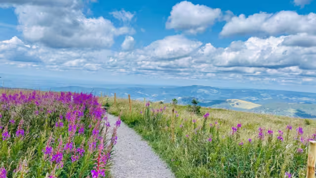 Hiking in Feldberg and the Black Forest in Germany