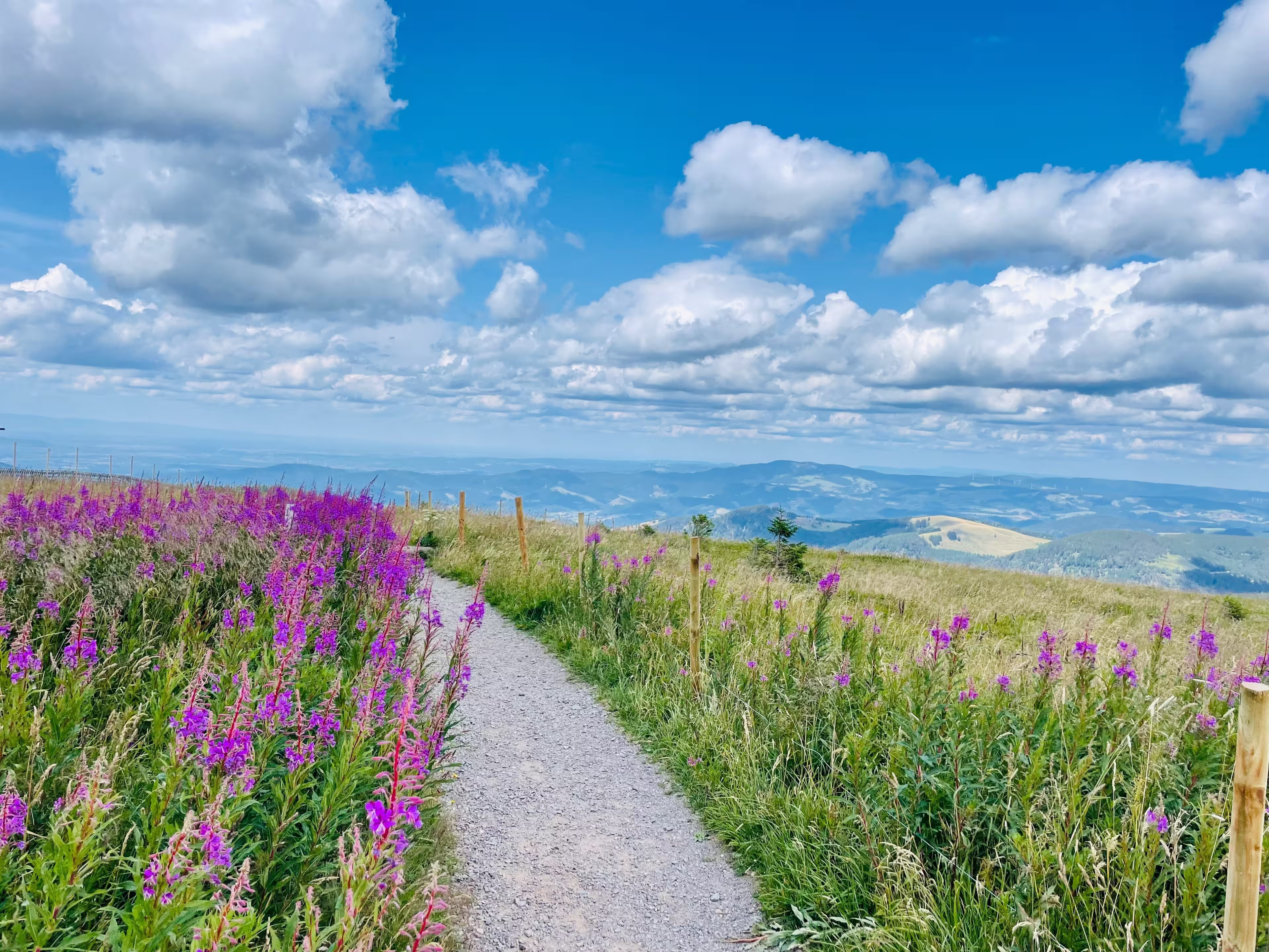Hiking in Feldberg and the Black Forest in Germany