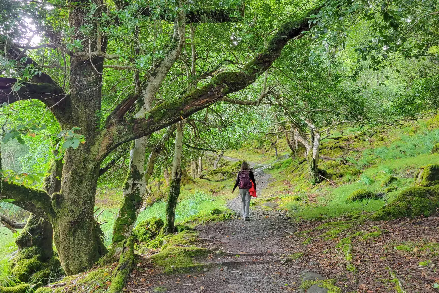 11-tägige individuelle Wanderreise auf dem Kerry Way