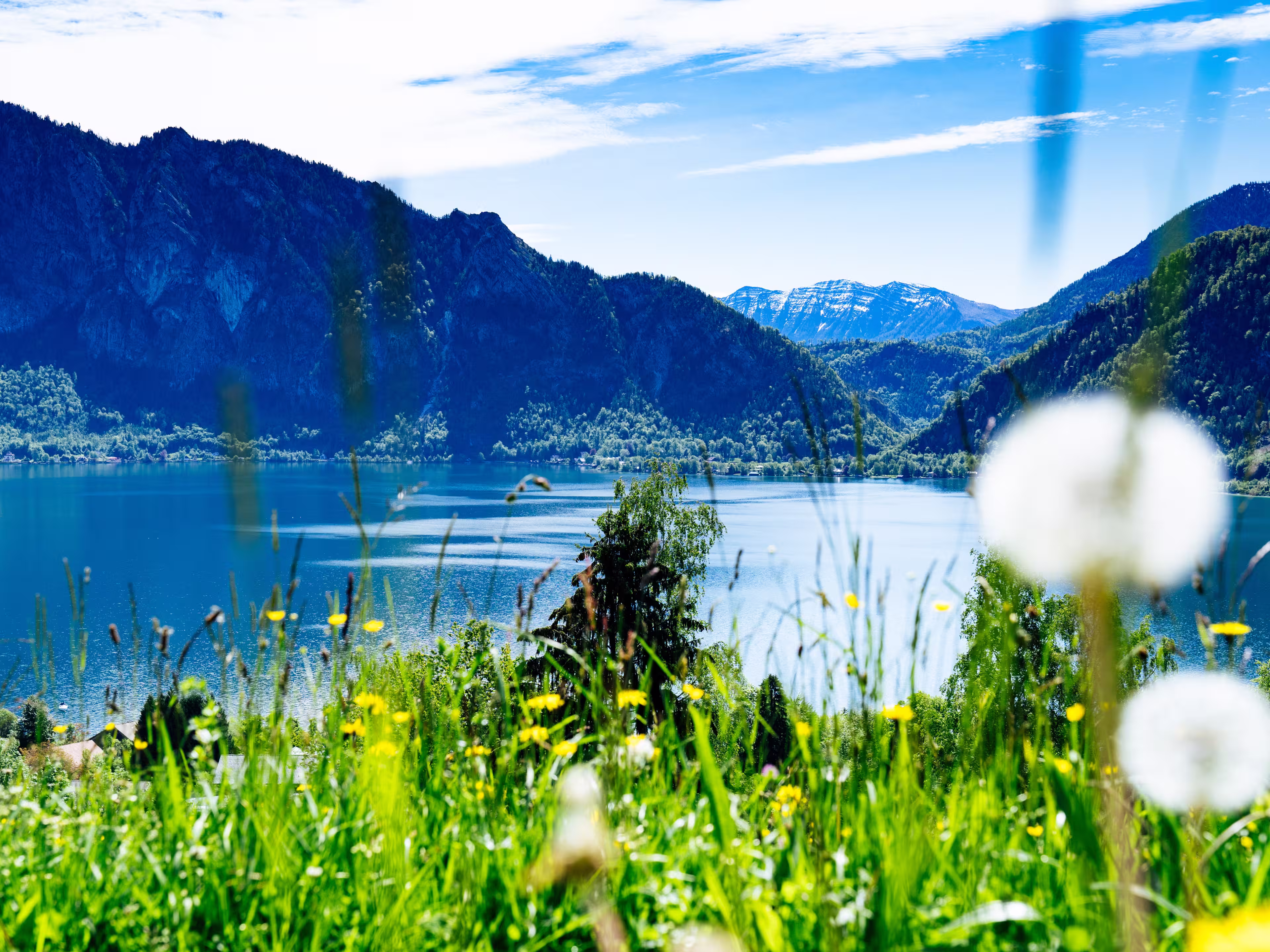 Lake View to the Attersee in Austria