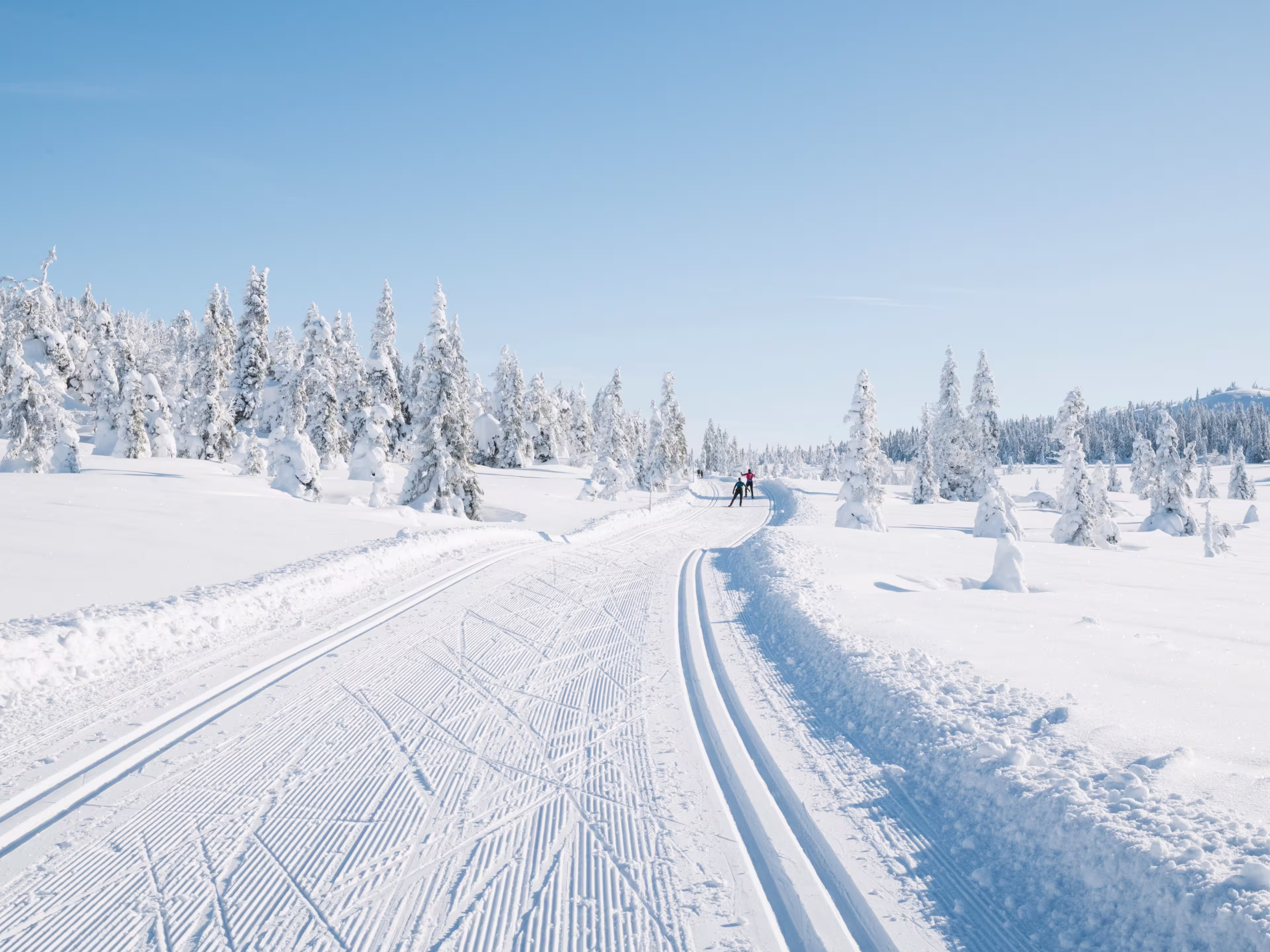 Skiers cross country ski in Norway.