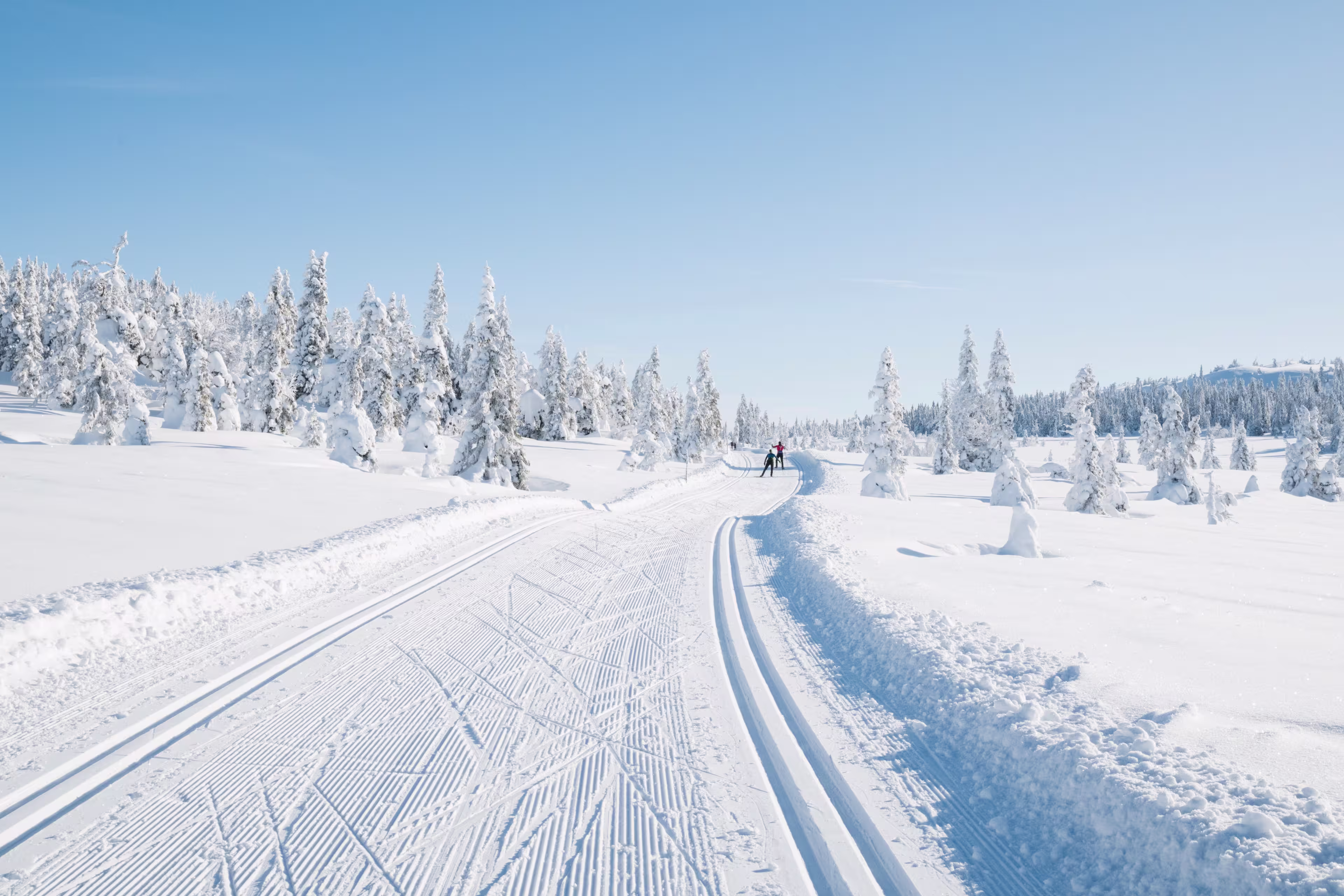 Skiers cross country ski in Norway.