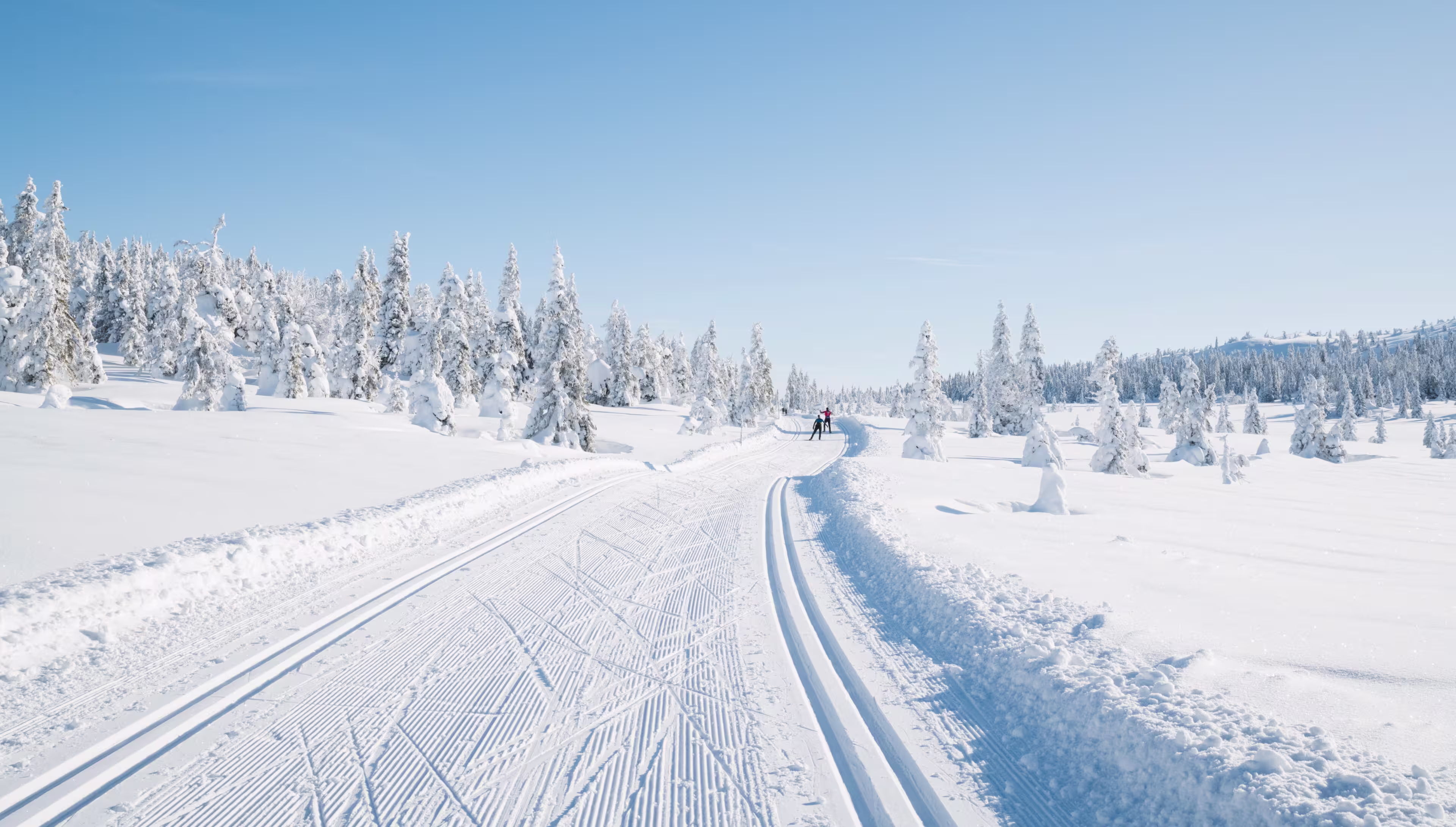 Skiers cross country ski in Norway.