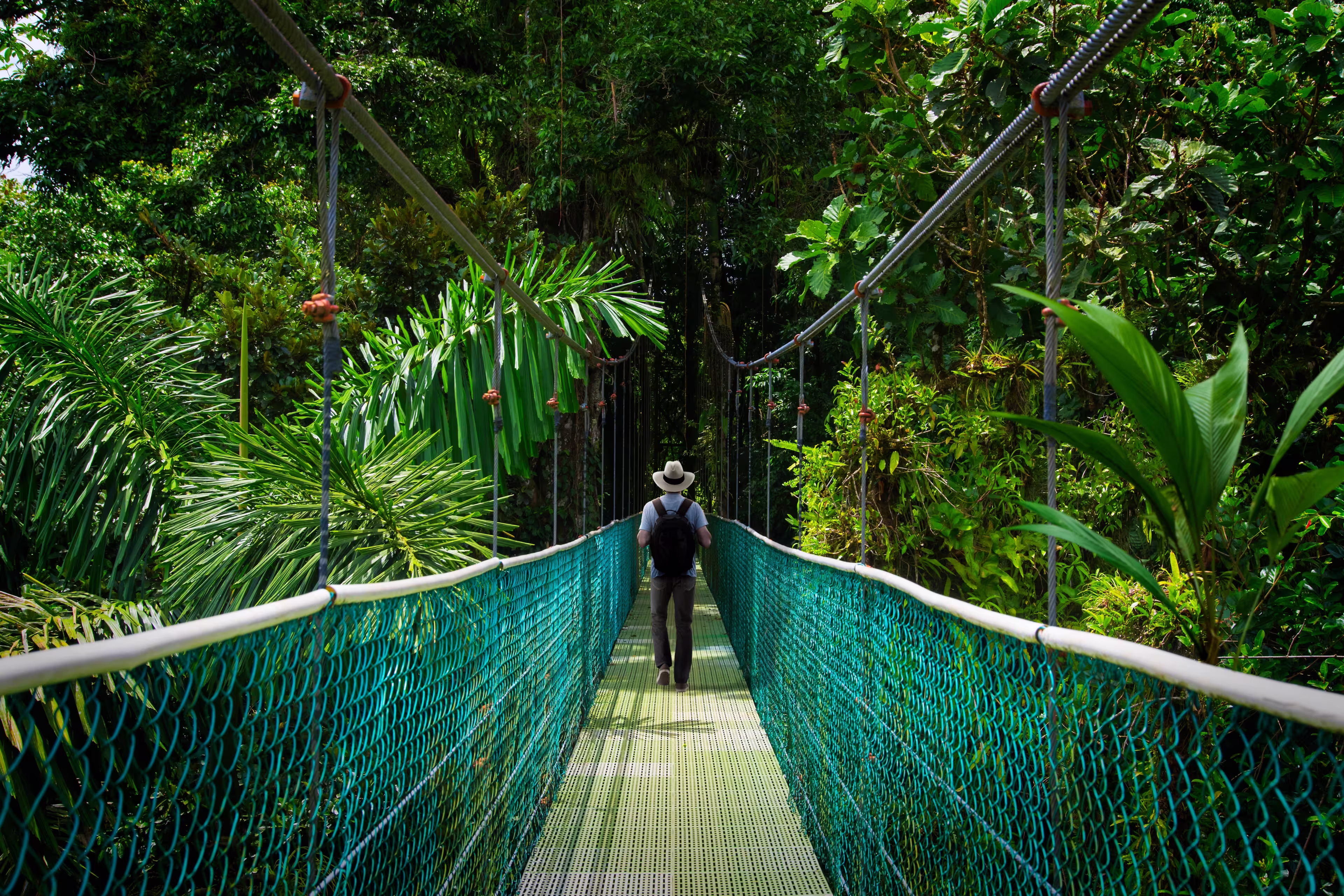 Suspension bridge with backpacker in tropical rain forest