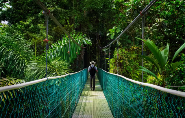 Suspension bridge with backpacker in tropical rain forest