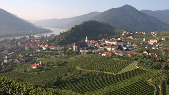 Wachau