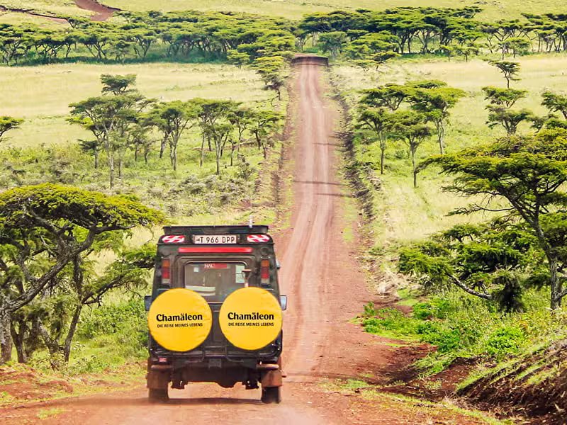 Fahrt durch den Ngorongoro-Krater