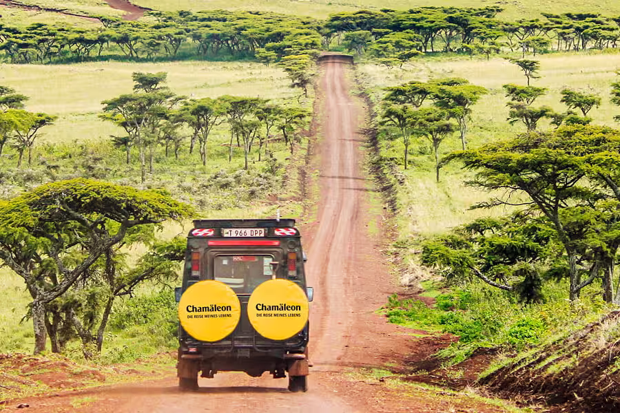 Fahrt durch den Ngorongoro-Krater