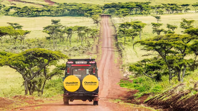 Fahrt durch den Ngorongoro-Krater