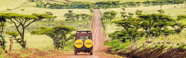 Fahrt durch den Ngorongoro-Krater