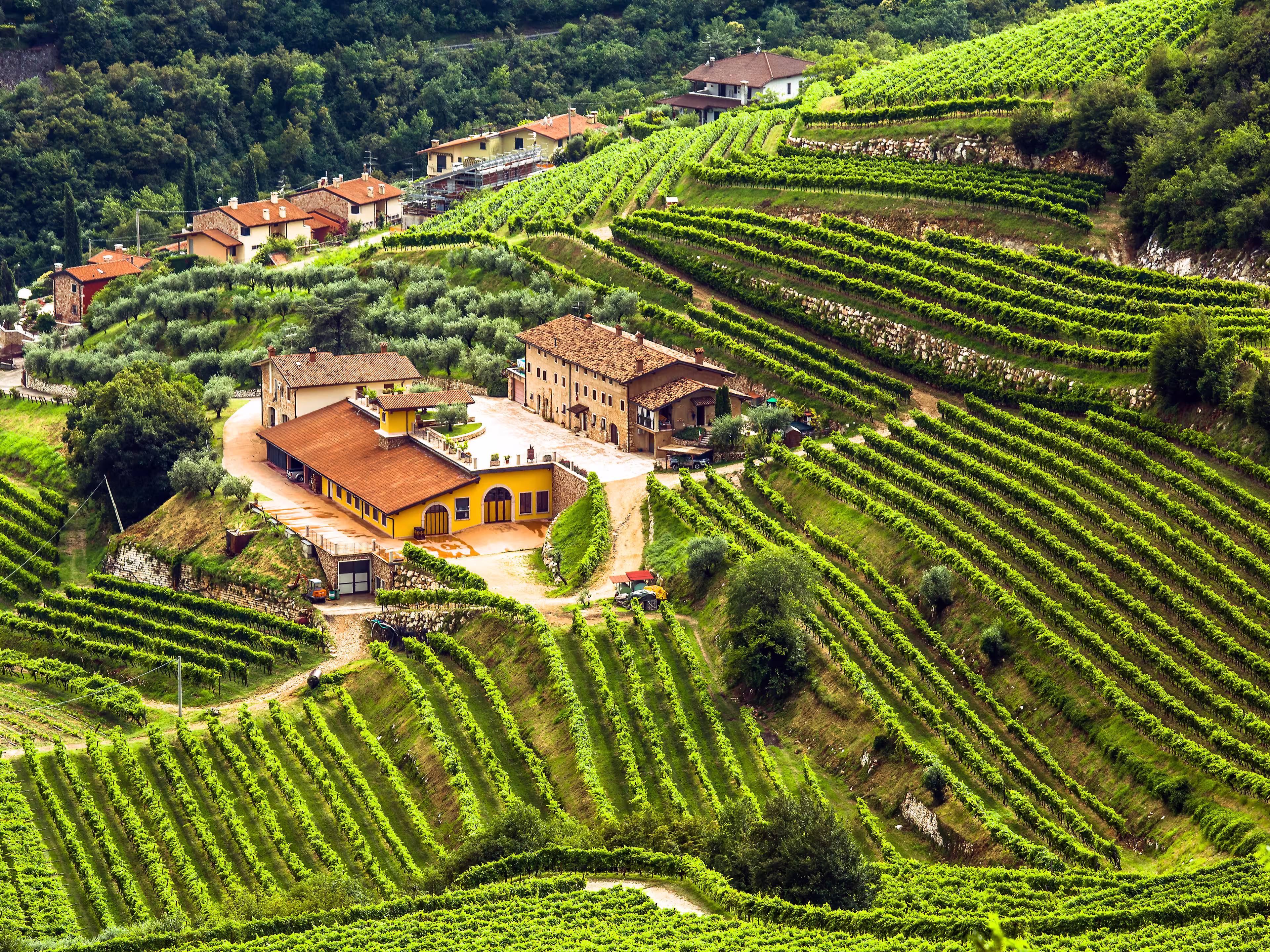 Valpolicella Veneto
