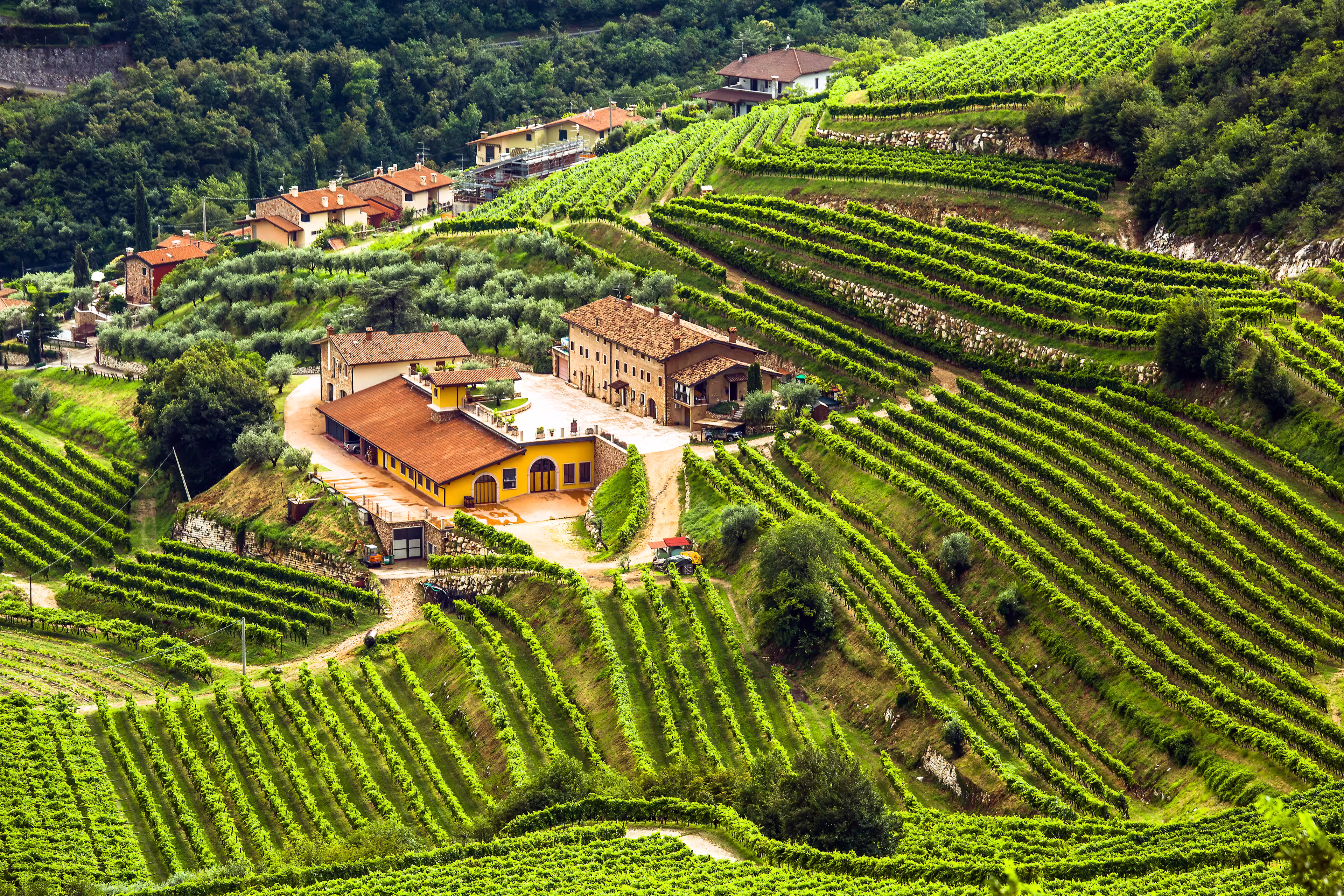 Valpolicella Veneto