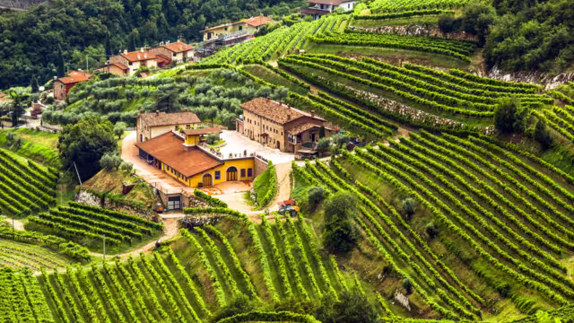 Valpolicella Veneto