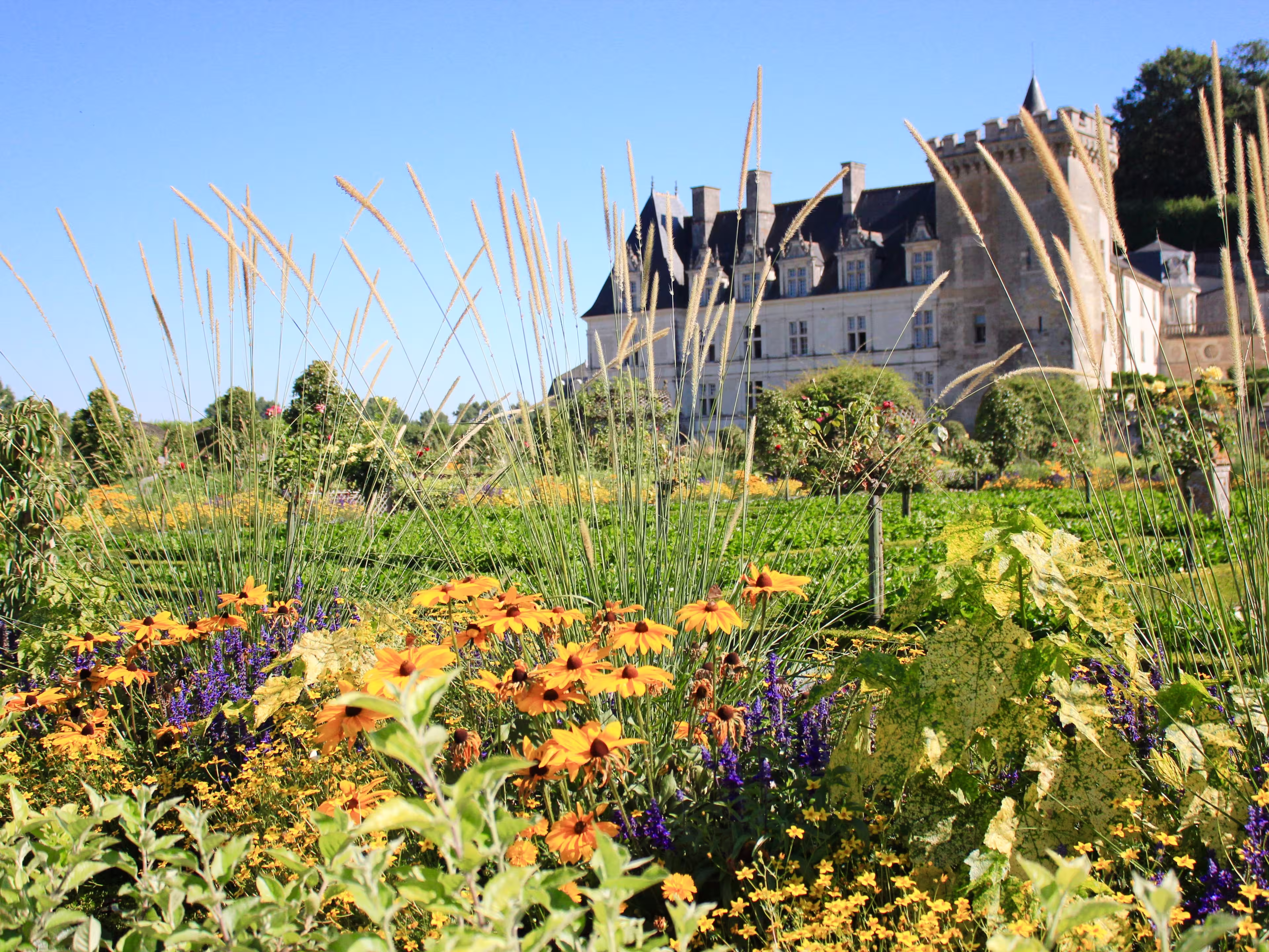 Radeln Loire