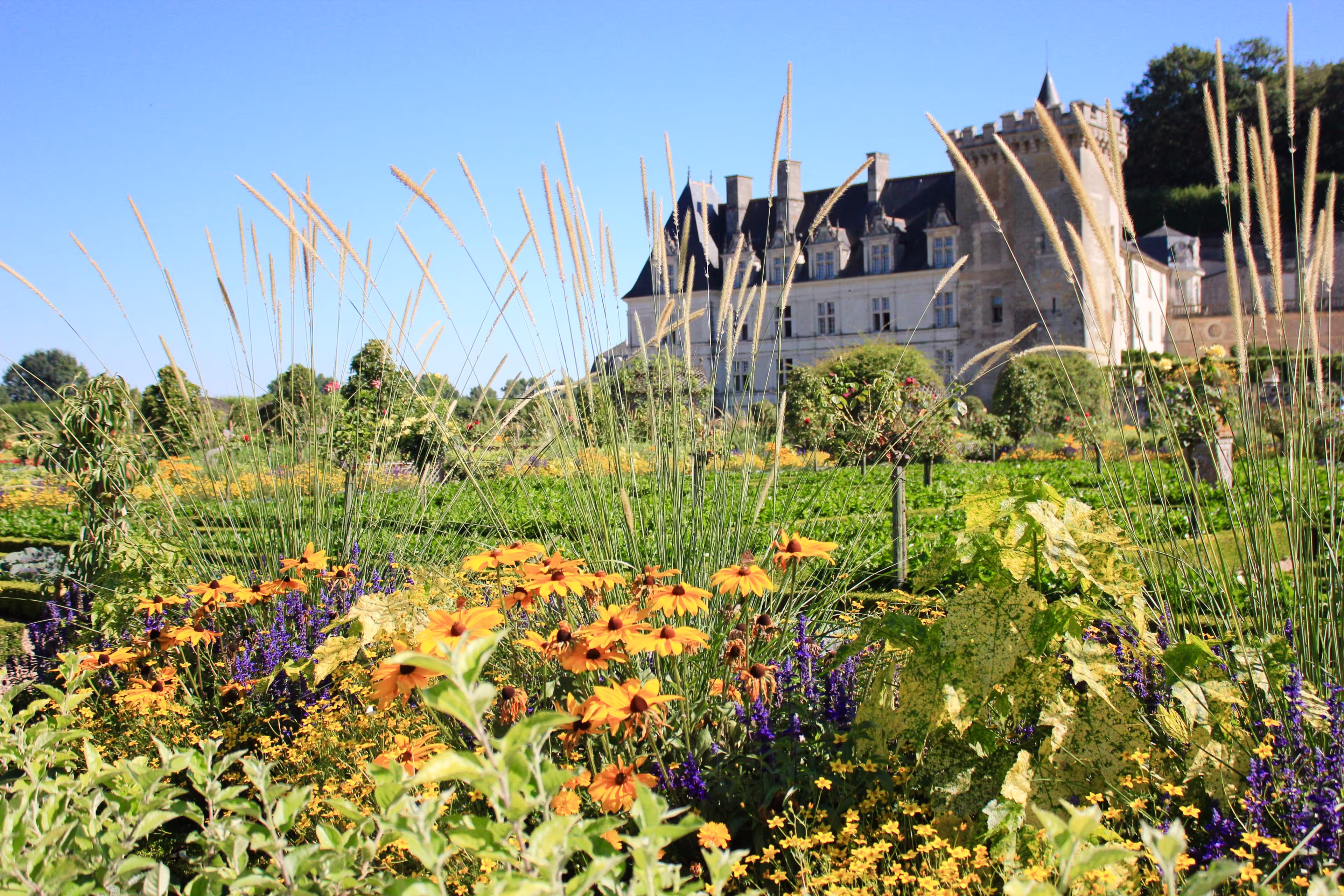 Radeln Loire