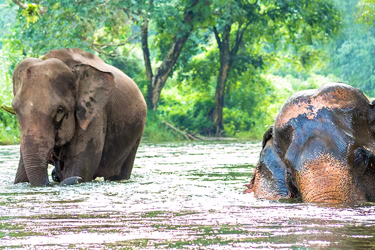 Explore Northern Thailand - 1